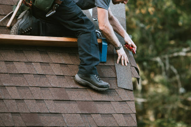 Best Roof Maintenance Services  in Brewster, WA