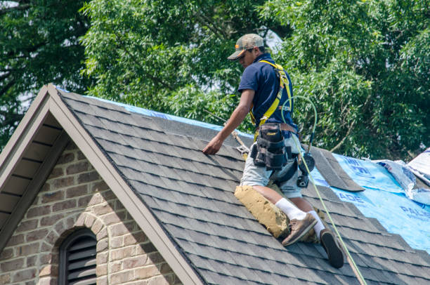 Best Local Roofing Companies  in Brewster, WA